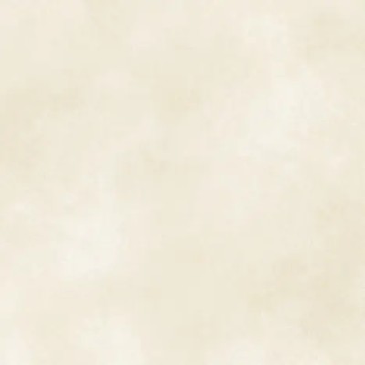EVOLUTION IVORY 60,5X60,5 1,46